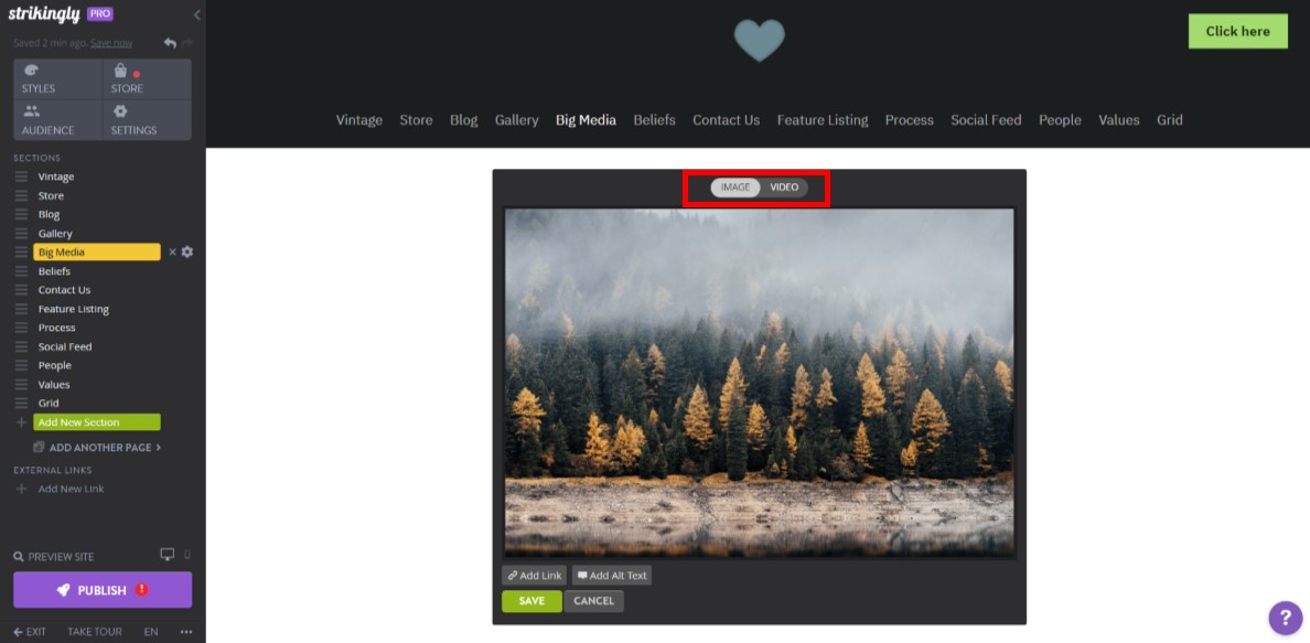 Strikingly Big Media Video Strikingly Big Media Video